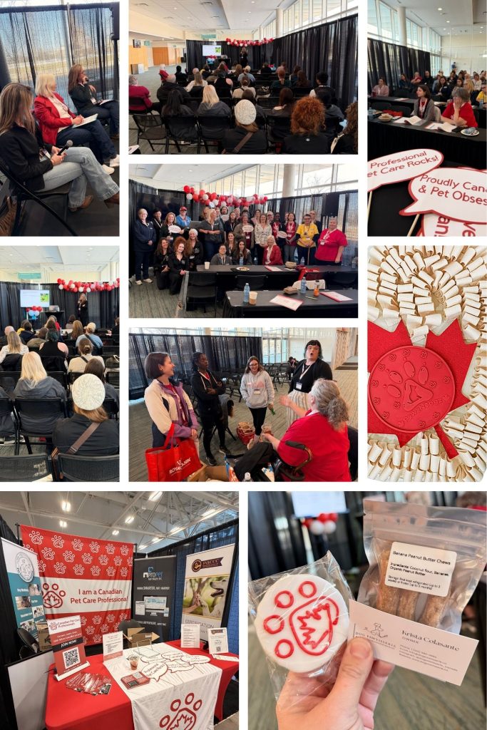 Canadian Pet Care Professionals Raising Standards